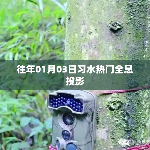 习水热门全息投影，历年一月初上演的视觉盛宴