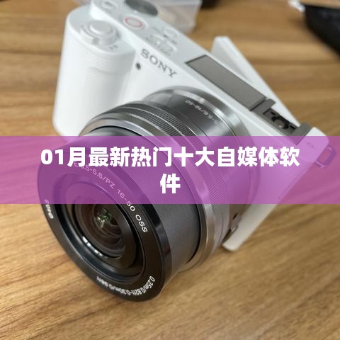 凤毛麟角