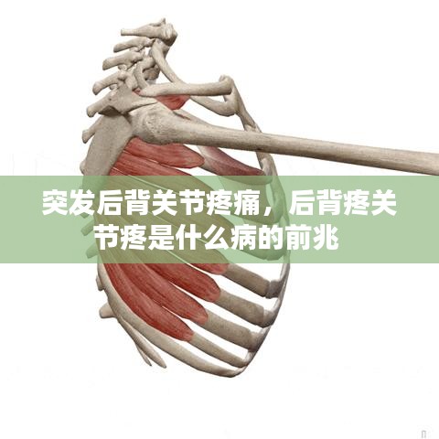 突发后背关节疼痛，后背疼关节疼是什么病的前兆 