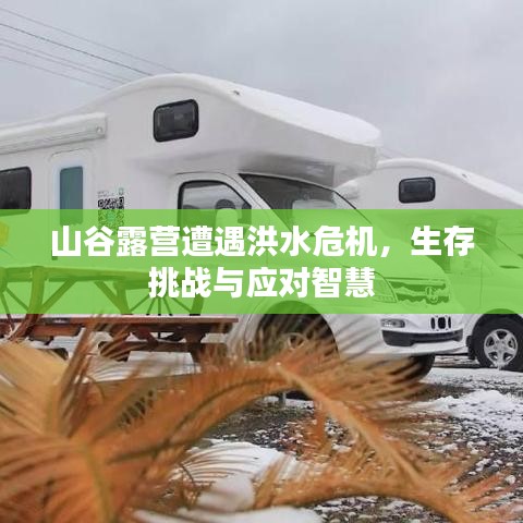 山谷露营遭遇洪水危机，生存挑战与应对智慧