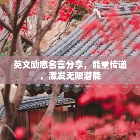 英文励志名言分享，能量传递，激发无限潜能