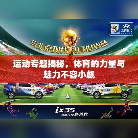 运动专题揭秘，体育的力量与魅力不容小觑