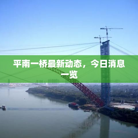 平南一桥最新动态，今日消息一览