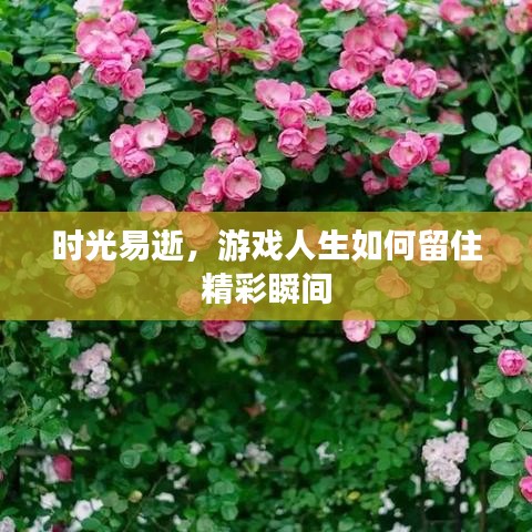 时光易逝，游戏人生如何留住精彩瞬间