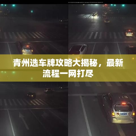 组织架构 第22页