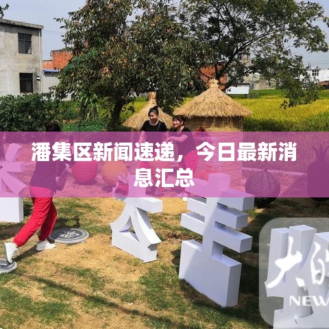潘集区新闻速递，今日最新消息汇总