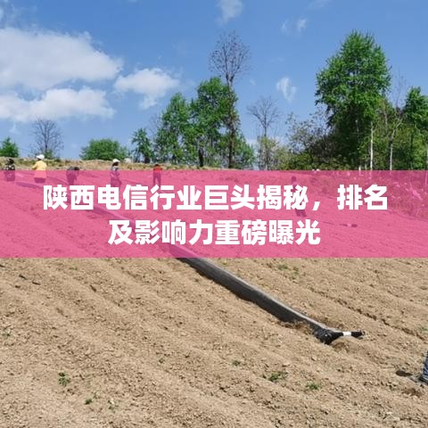 陕西电信行业巨头揭秘，排名及影响力重磅曝光