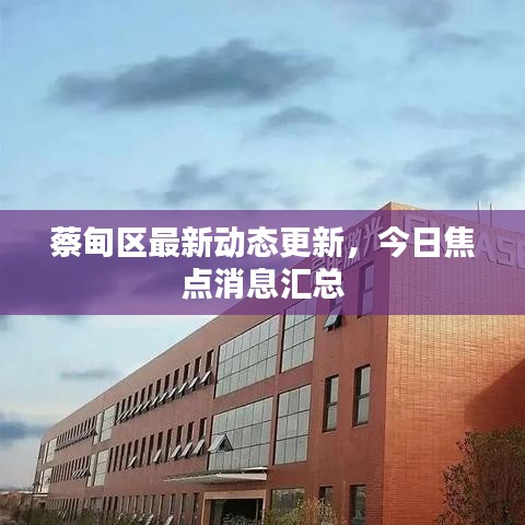 蔡甸区最新动态更新，今日焦点消息汇总