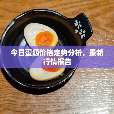 今日蛋源价格走势分析，最新行情报告