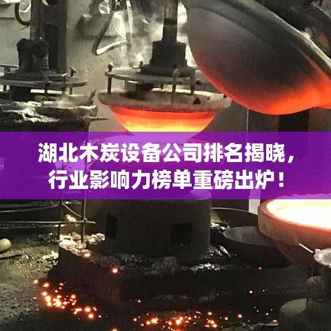 湖北木炭设备公司排名揭晓，行业影响力榜单重磅出炉！
