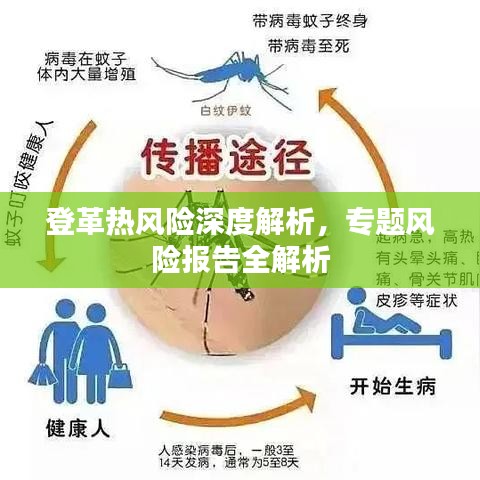 登革热风险深度解析，专题风险报告全解析