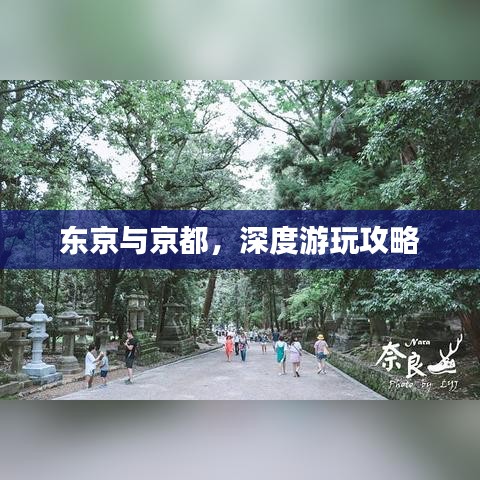 东京与京都，深度游玩攻略