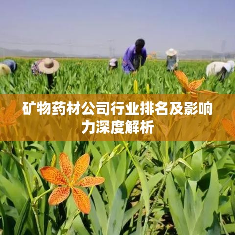 矿物药材公司行业排名及影响力深度解析
