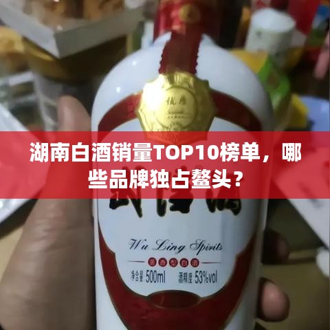 湖南白酒销量TOP10榜单，哪些品牌独占鳌头？