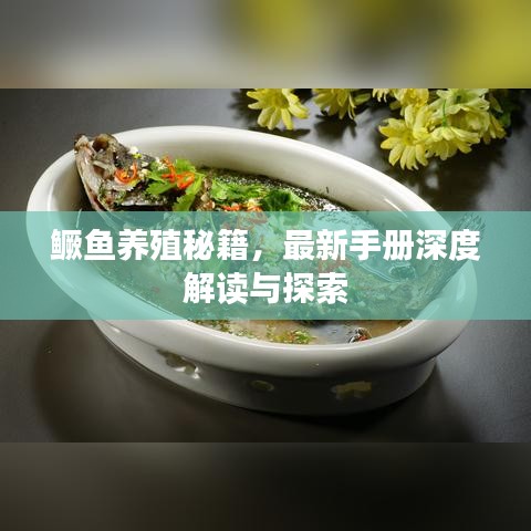 鳜鱼养殖秘籍，最新手册深度解读与探索