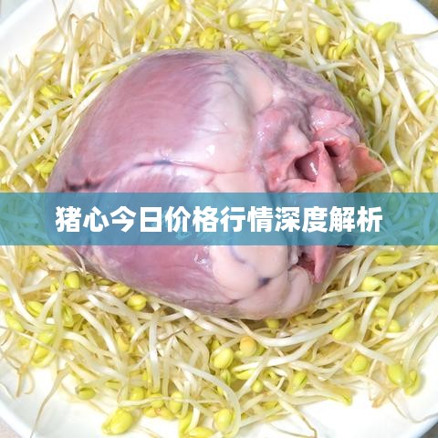 猪心今日价格行情深度解析