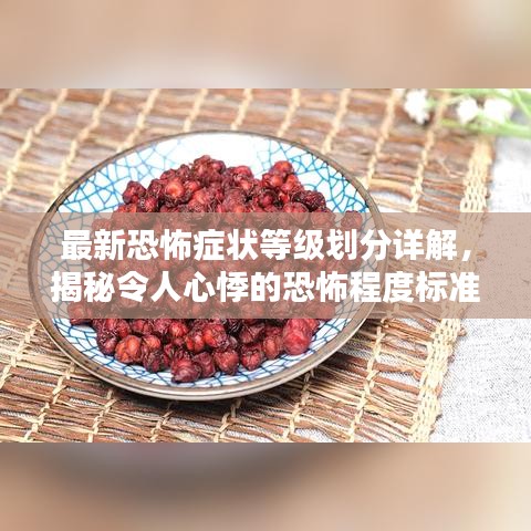 最新恐怖症状等级划分详解，揭秘令人心悸的恐怖程度标准解析
