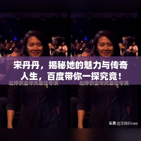 宋丹丹，揭秘她的魅力与传奇人生，百度带你一探究竟！