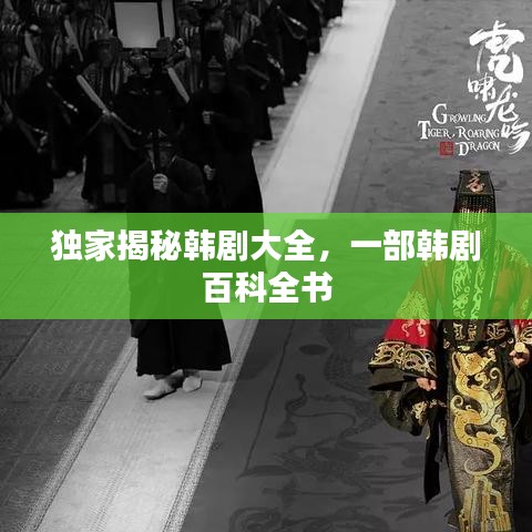 独家揭秘韩剧大全，一部韩剧百科全书