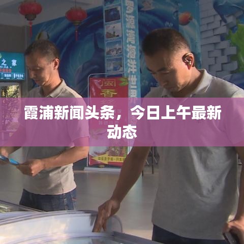 霞浦新闻头条，今日上午最新动态
