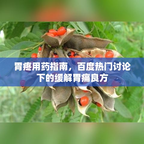 还淳反素 第2页