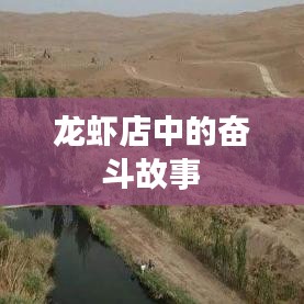 龙虾店中的奋斗故事