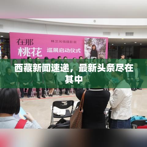 西藏新闻速递，最新头条尽在其中