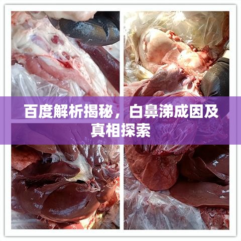 百度解析揭秘，白鼻涕成因及真相探索