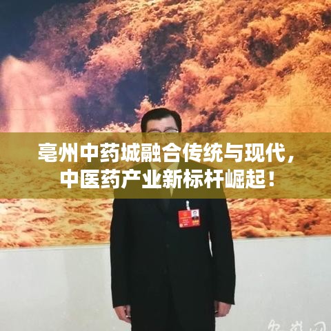 亳州中药城融合传统与现代，中医药产业新标杆崛起！