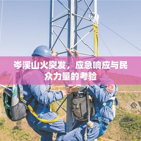 岑溪山火突发，应急响应与民众力量的考验