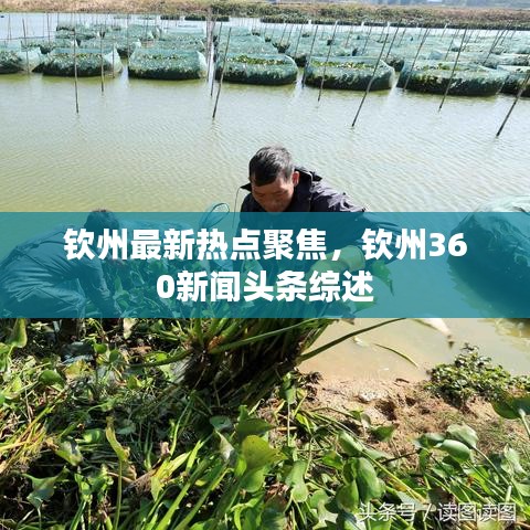 钦州最新热点聚焦，钦州360新闻头条综述