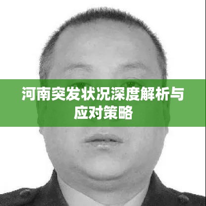 河南突发状况深度解析与应对策略