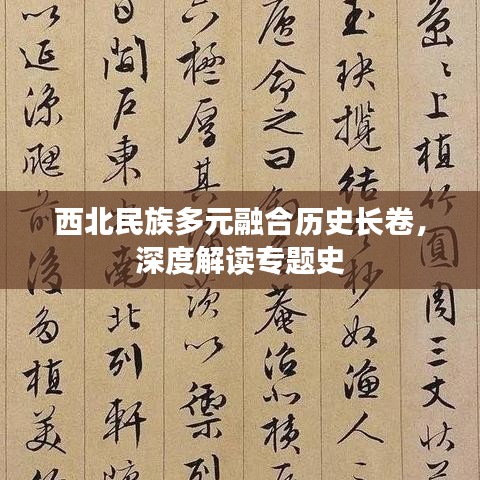 西北民族多元融合历史长卷，深度解读专题史