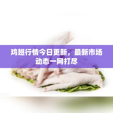 鸡翅行情今日更新，最新市场动态一网打尽