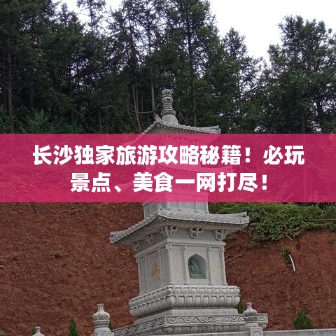 龙飞凤舞