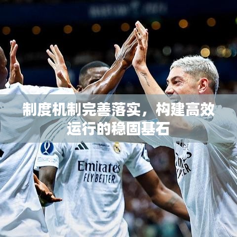 制度机制完善落实，构建高效运行的稳固基石