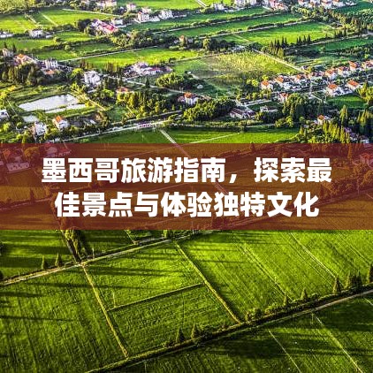 荣誉证书 第10页