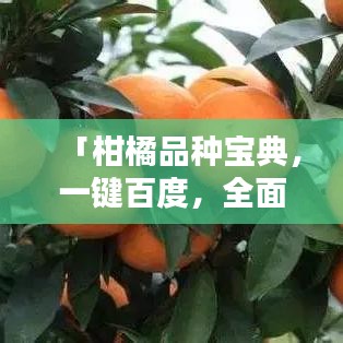 「柑橘品种宝典，一键百度，全面知识掌握」