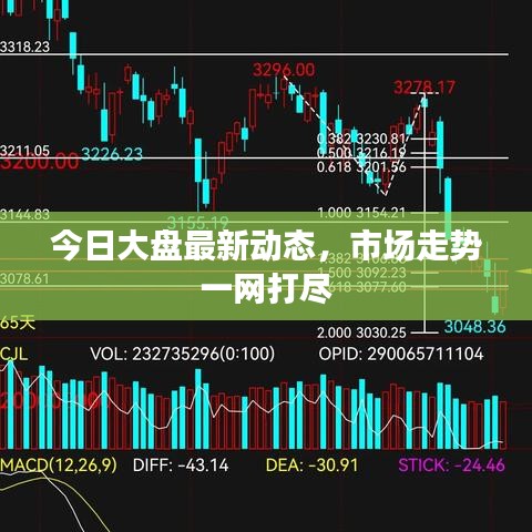 今日大盘最新动态，市场走势一网打尽