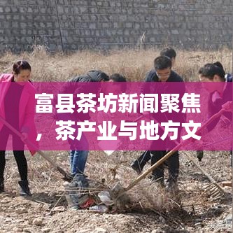 富县茶坊新闻聚焦，茶产业与地方文化融合繁荣发展