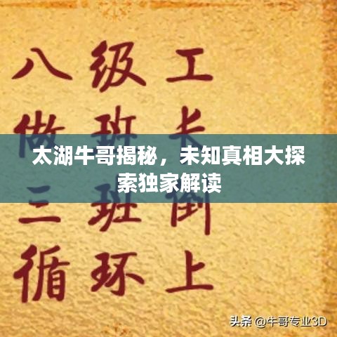 太湖牛哥揭秘，未知真相大探索独家解读