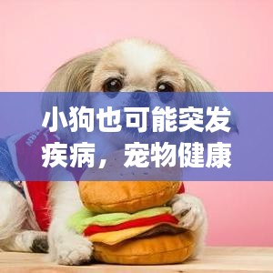 小狗也可能突发疾病，宠物健康不容忽视的重要性