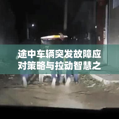 齿白唇红