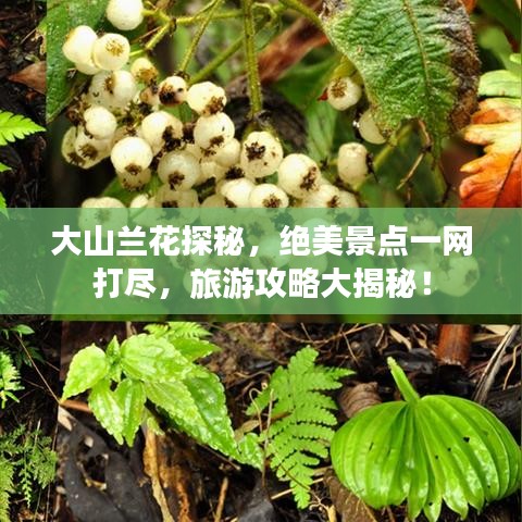 产品中心 第7页