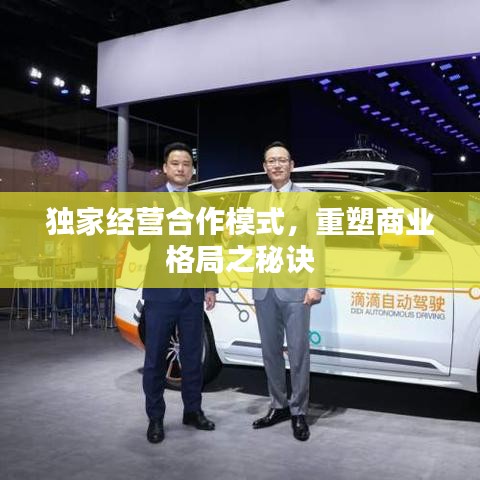 独家经营合作模式，重塑商业格局之秘诀