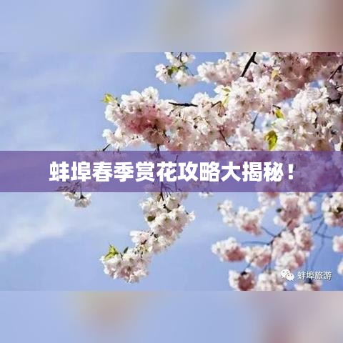 客户留言 第6页