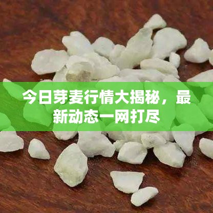 冲压设备 第6页
