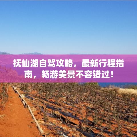 抚仙湖自驾攻略，最新行程指南，畅游美景不容错过！