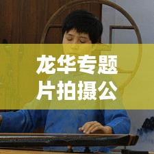 龙华专题片拍摄公司，捕捉城市魅力的视觉艺术专家