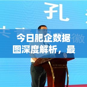 今日肥企数据图深度解析，最新消息一览